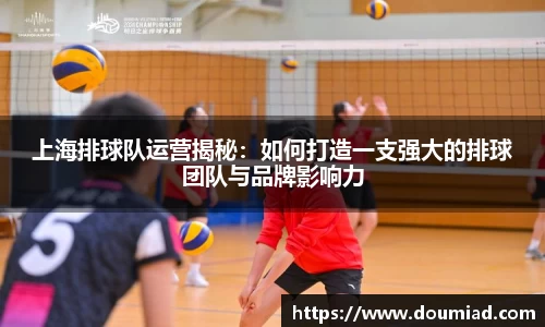 上海排球队运营揭秘：如何打造一支强大的排球团队与品牌影响力
